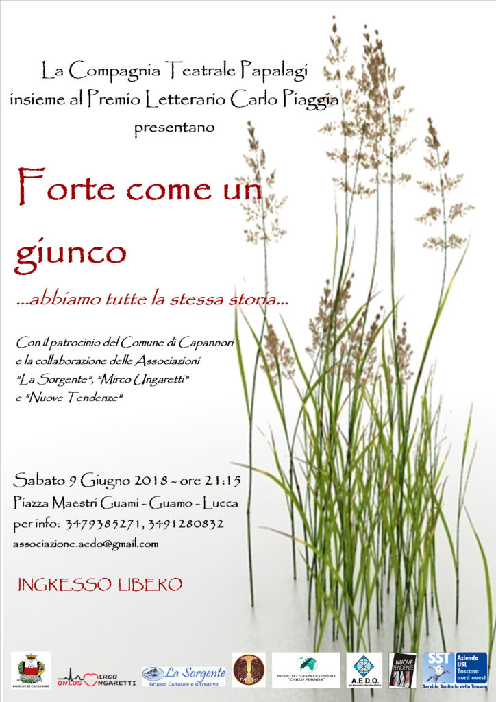 FORTE-COME-UN-GIUNCO