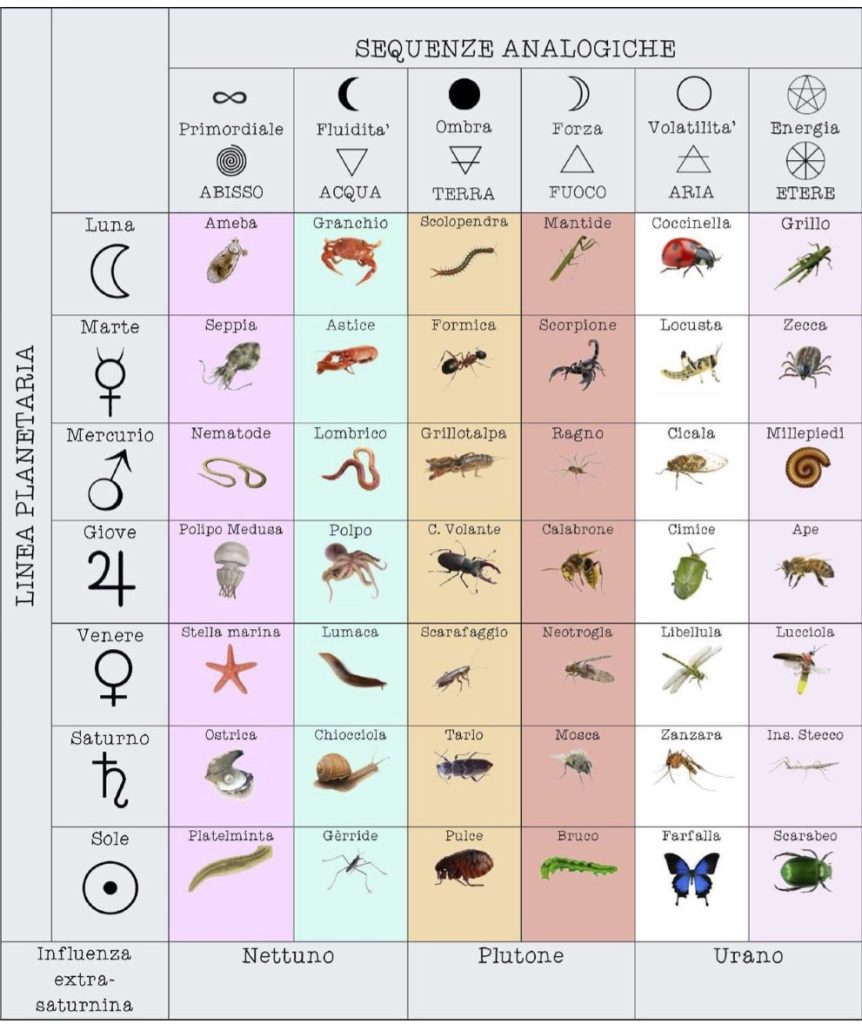 schema